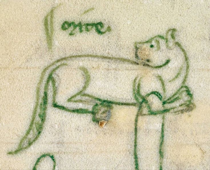 Pen drawing of a cat. Account book of the Cistercian Beaulieu Abbey, England, c. 1270.