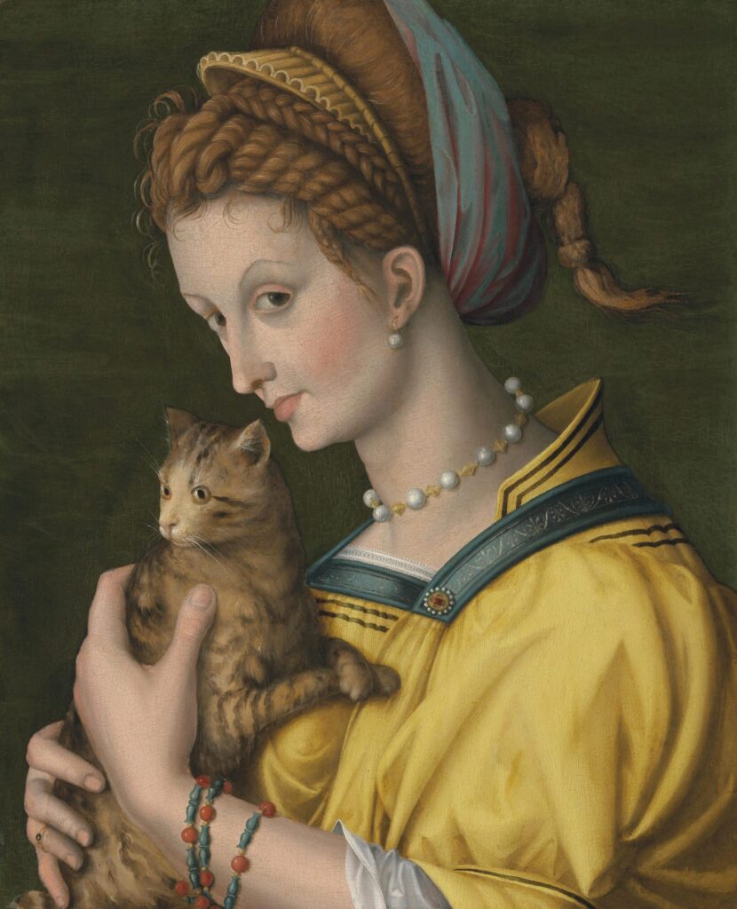 Portrait of a young girl with a cat in her arms. Francesco Bacchiacca, c. 1525-1530.