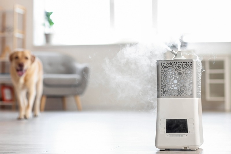 Don't confuse an air purifier with a humidifier! Image source: petstory.ru. Photo.