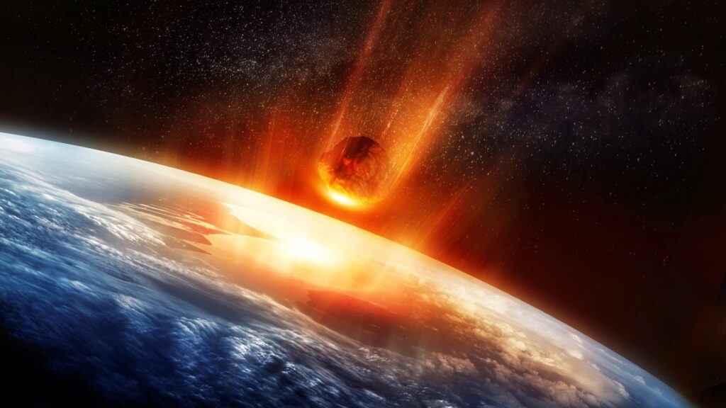 After the asteroid impact, only those creatures ready for hardship survived. Photo.