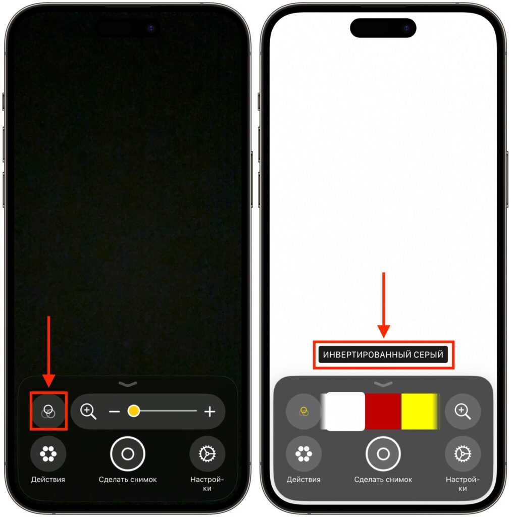 Step-by-step guide: how to search for ticks using an iPhone. Switch to the right filter and point the camera at the fur. Photo.