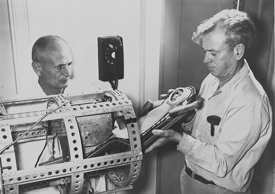 Preparing a primate for flight. Photo.