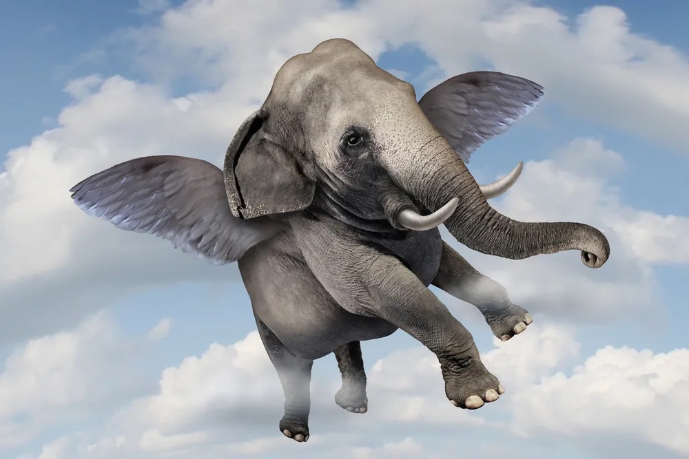 Why nature never created elephant-sized birds. Photo.