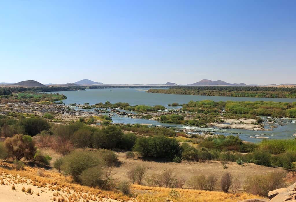 Mass fish die-offs are one of the consequences of oxygen starvation in rivers