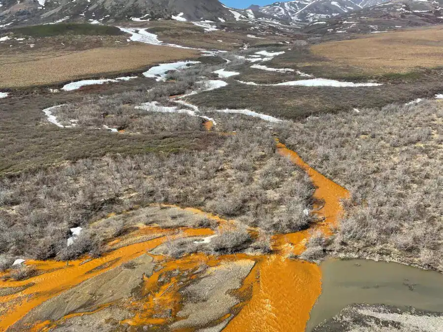 Toxic algae blooming on a river's surface — a beautiful but dangerous sight