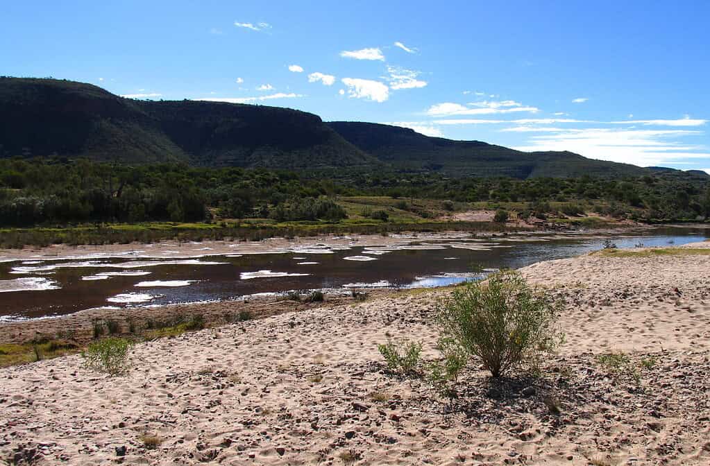The Finke River in the dry season.