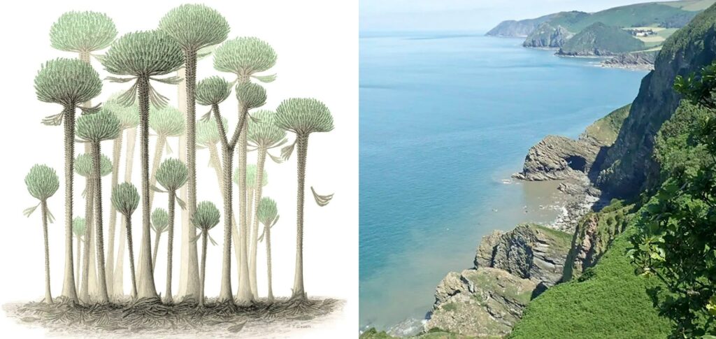 The most ancient forest on Earth is hidden in a small corner of England. Photo.