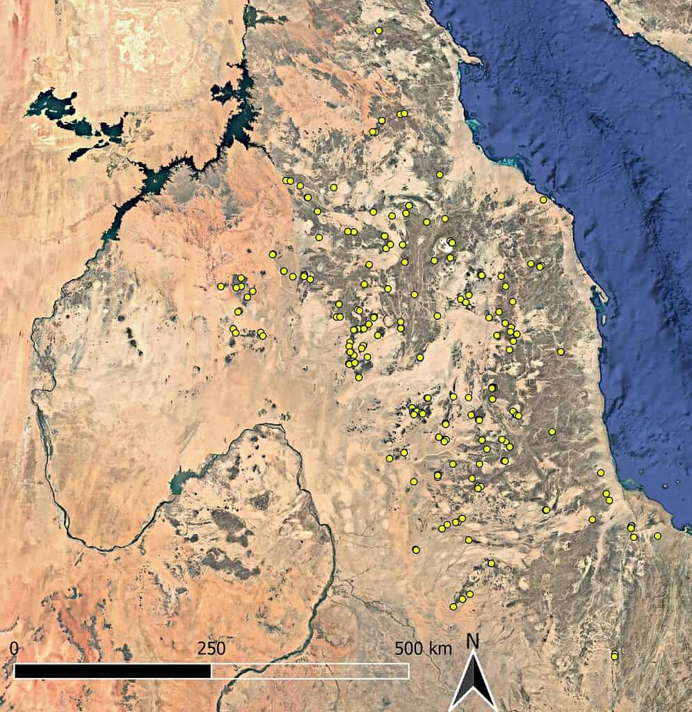 Satellites revealed 260 secret mass graves in the Sahara