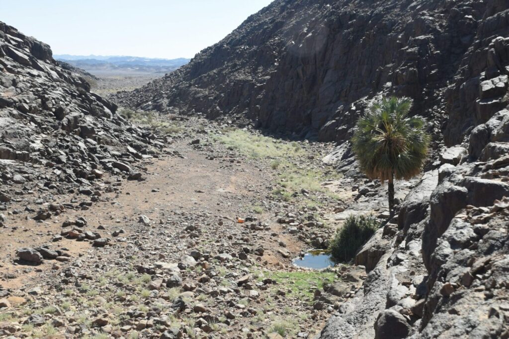 Burials were located near freshwater sources, such as this small pool in a gully. Photo.