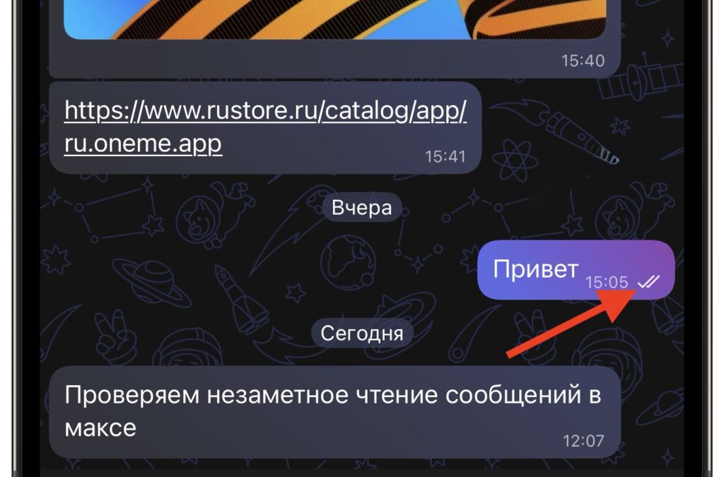 Chat preview in MAX without read receipts. The second checkmark means the recipient has read the message and there's no getting out of it. Photo.