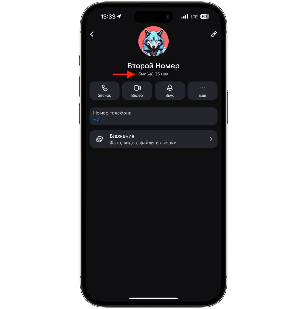 Last Seen Time in MAX on iPhone — What Is It. You'll see the date, but not the time. Photo.