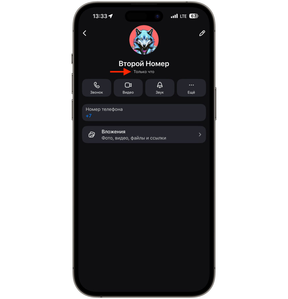 Last Seen Time in MAX on iPhone — What Is It. If the person just left the messenger, it will say 'just now'. Photo.