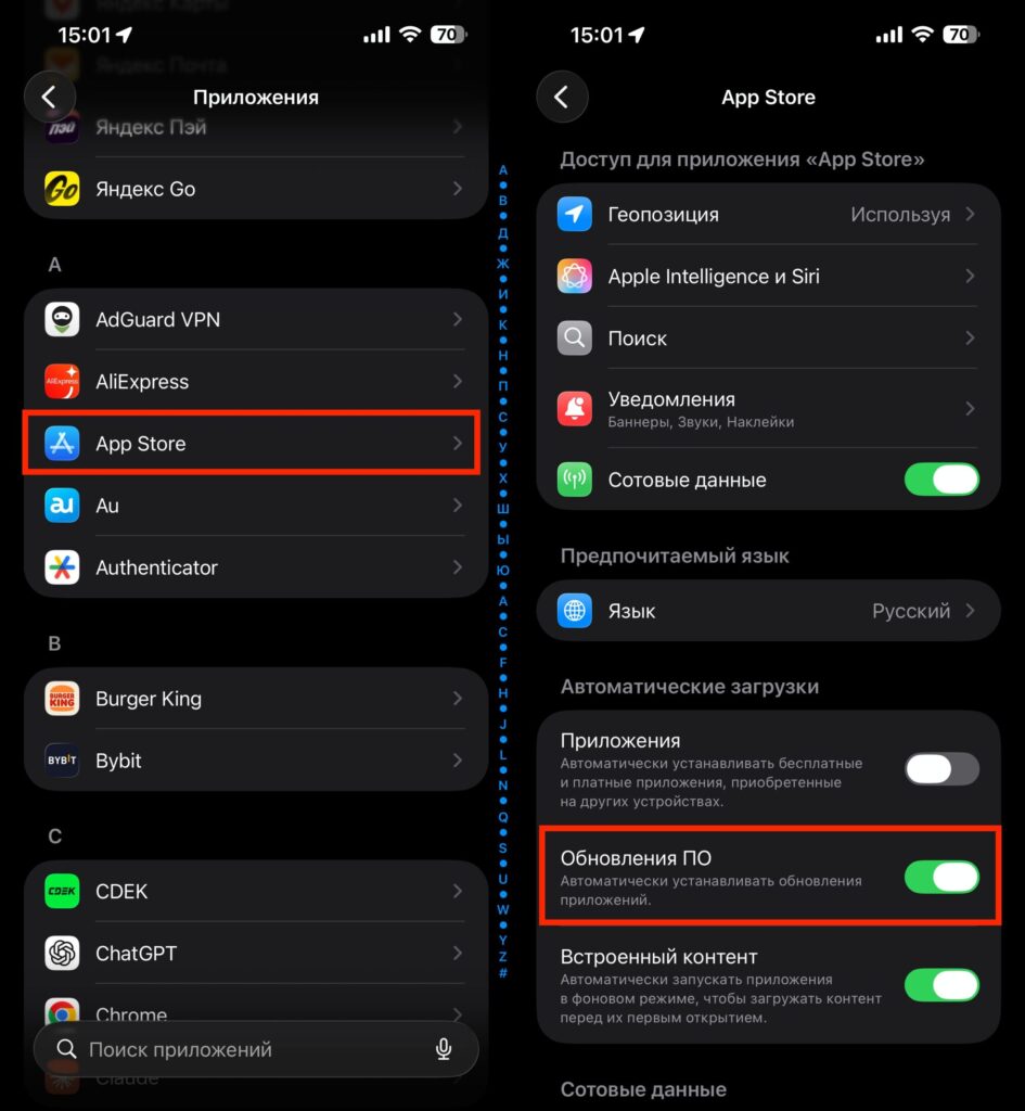Auto-update WhatsApp on iPhone. You can enable auto-update. This will be even easier. Photo.