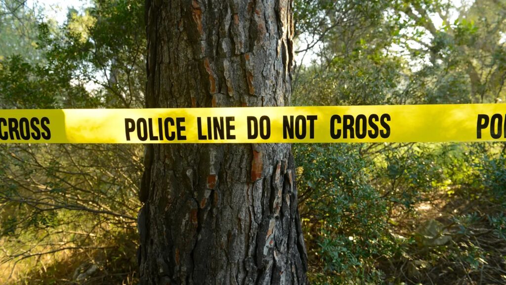 7 high-profile unsolved crimes that investigators still cannot explain. Photo.
