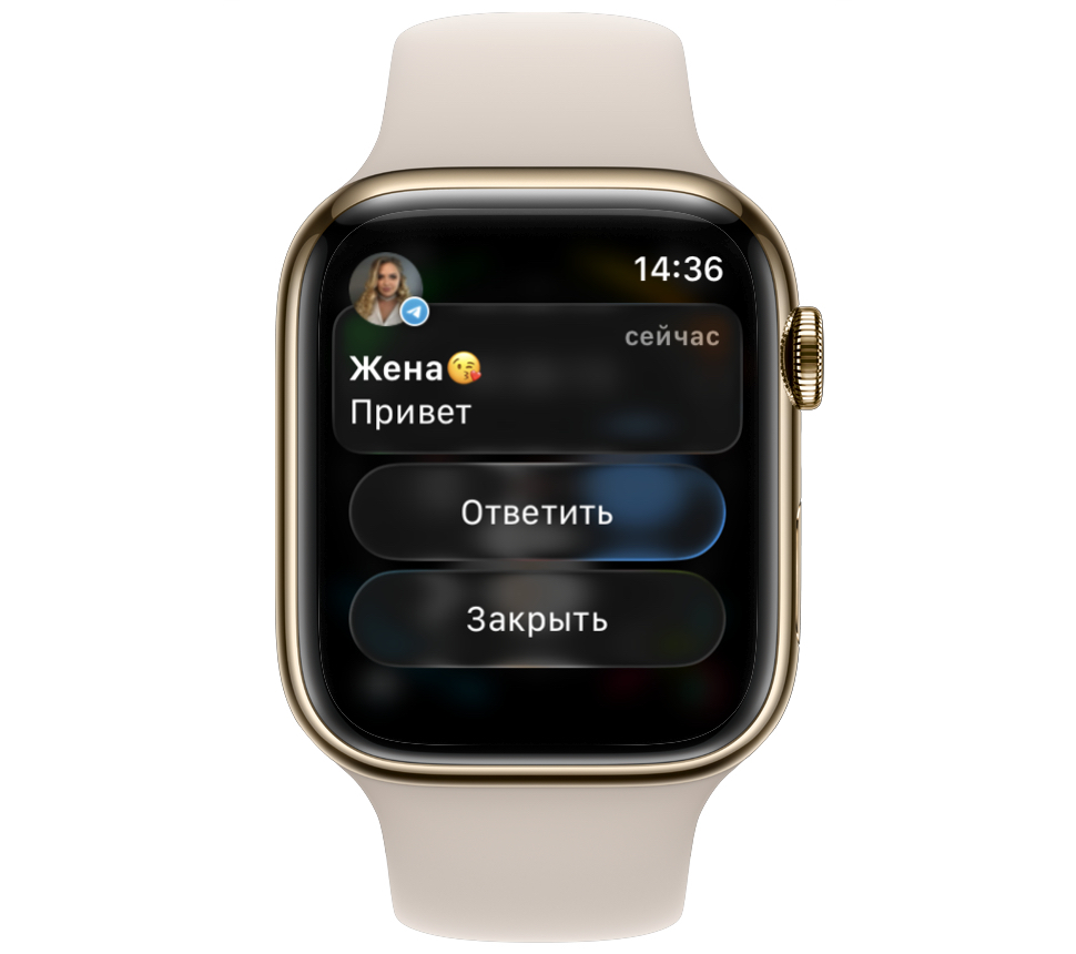 Quick Replies in Telegram on Apple Watch. It's easier to reply to messages through notifications. Photo.