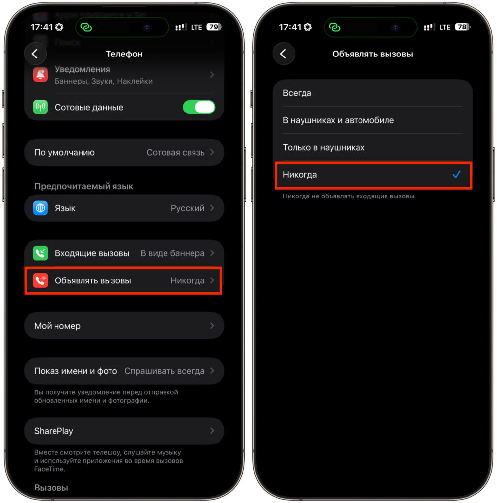 How to remove incoming call announcements on iPhone. You can completely disable it in the same place. Photo.