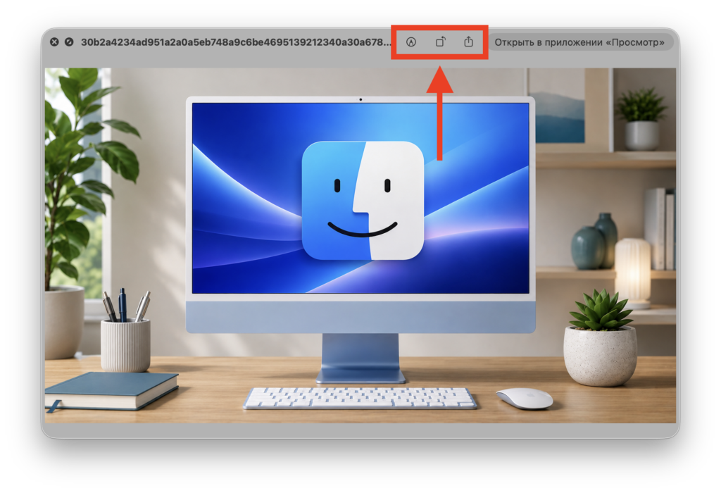 How to open a file on Mac without launching an app. Press spacebar and get access to quick editing. Photo.