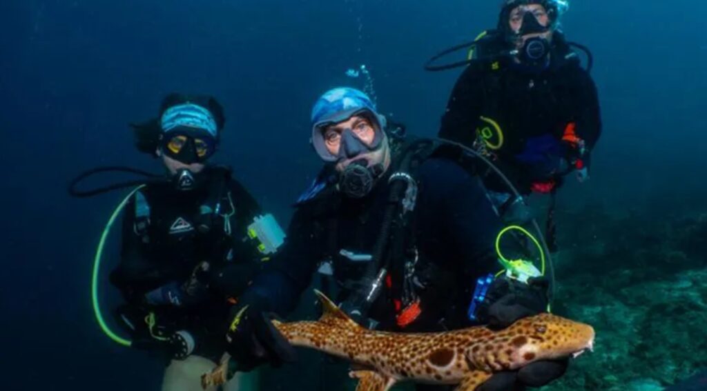 Divers with the new shark species. Image source: Live Science. Photo.