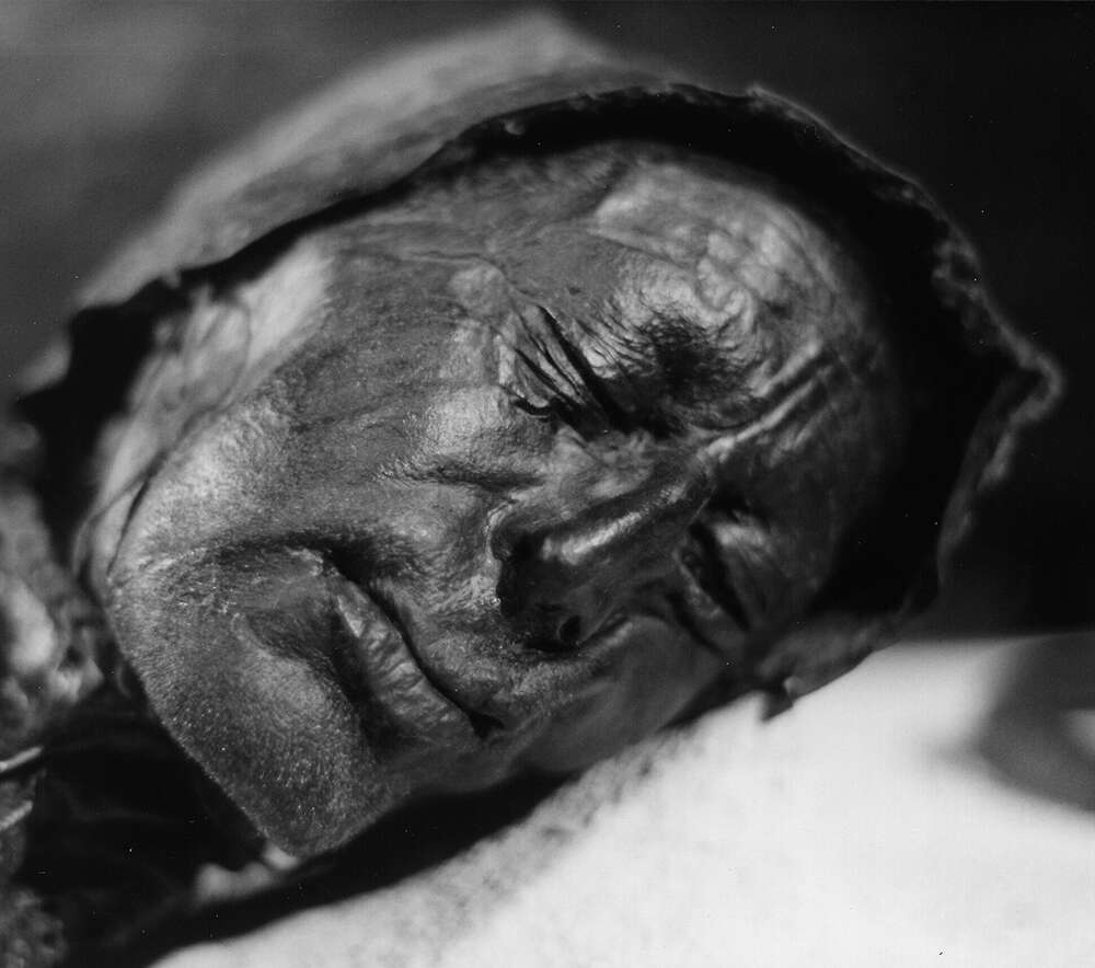 The head of Tollund Man, found in a bog near Tollund, Silkeborg, Denmark. Despite being remarkably well preserved, he is believed to have died around 375–210 BC. Photo.