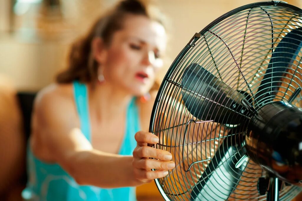 A fan in heat can be dangerous. Photo.