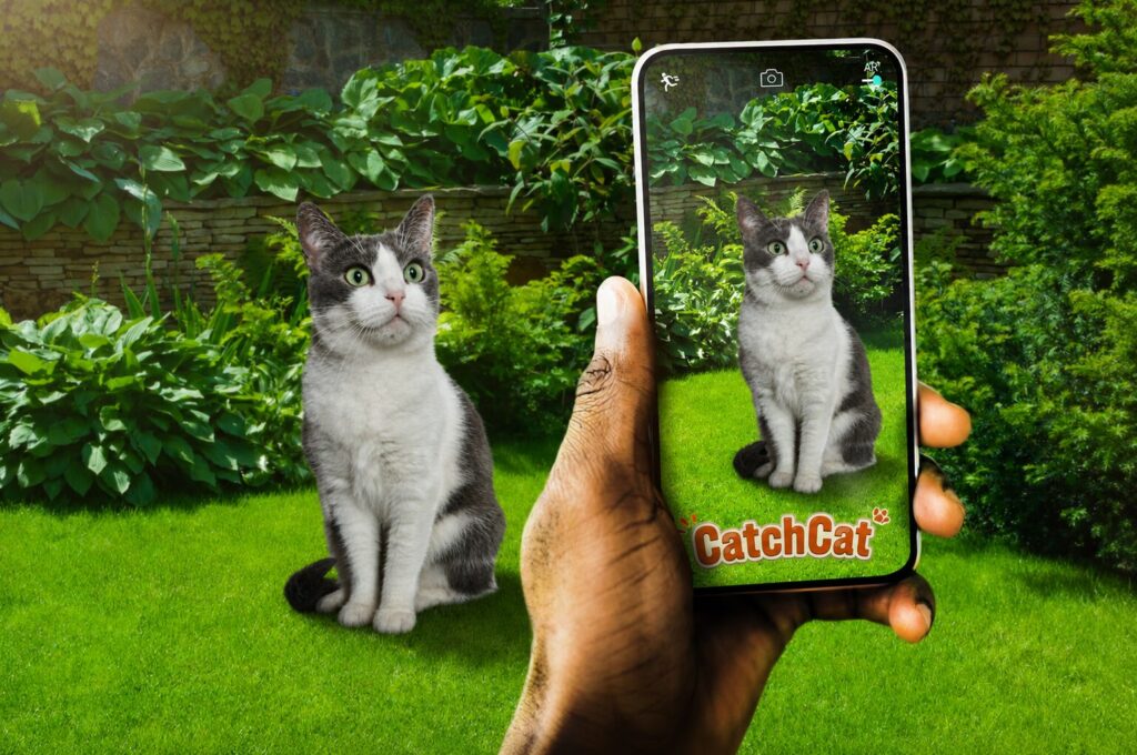 Here's what the new Catch Cat game on Google Play is all about