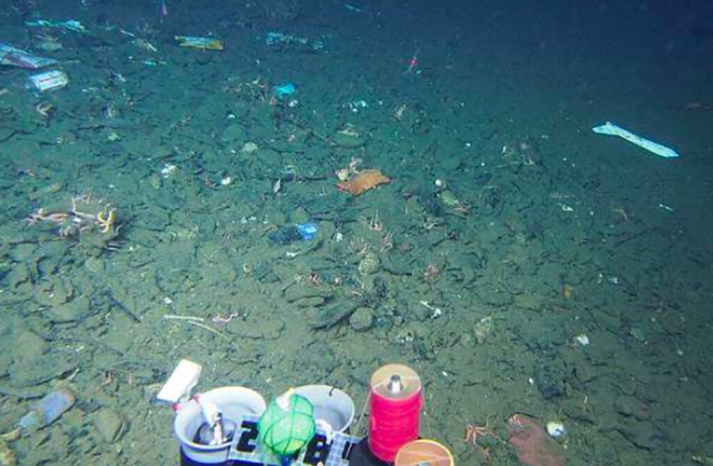 Trash at the bottom of the Mariana Trench. Image source: orbitinside.com. Photo.