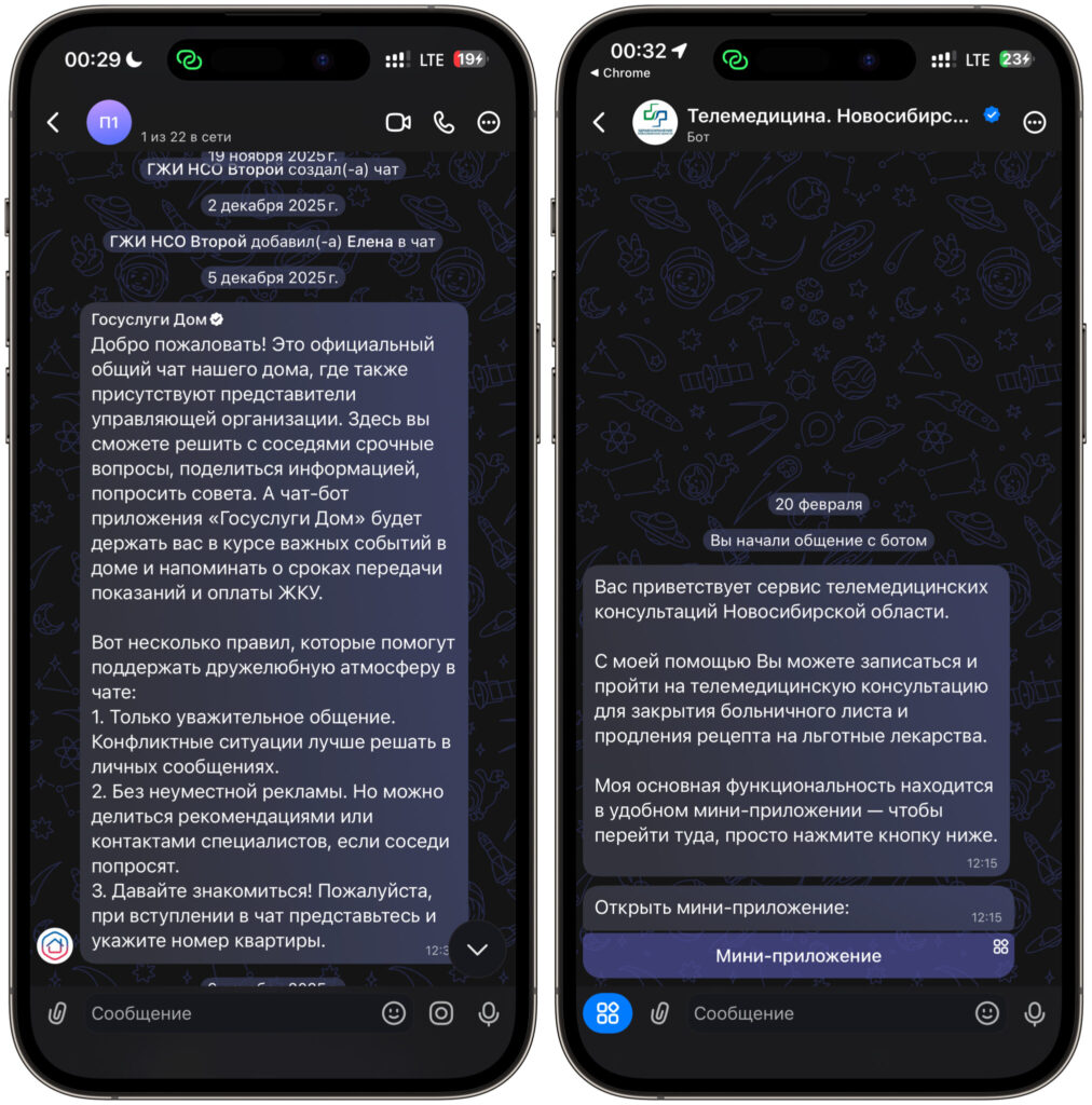 What features become unavailable without MAX on iPhone. Objectively, if MAX doesn't have a crowd of your relatives, then the building chat and doctor appointments are the only things you lose. Photo.