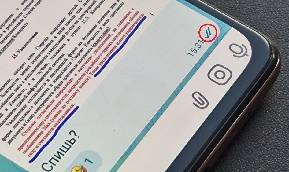 Two checkmarks are the read receipt indicator