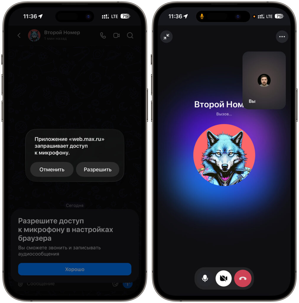 Do calls work in MAX Web on iPhone. Calls work in the web version. Photo.
