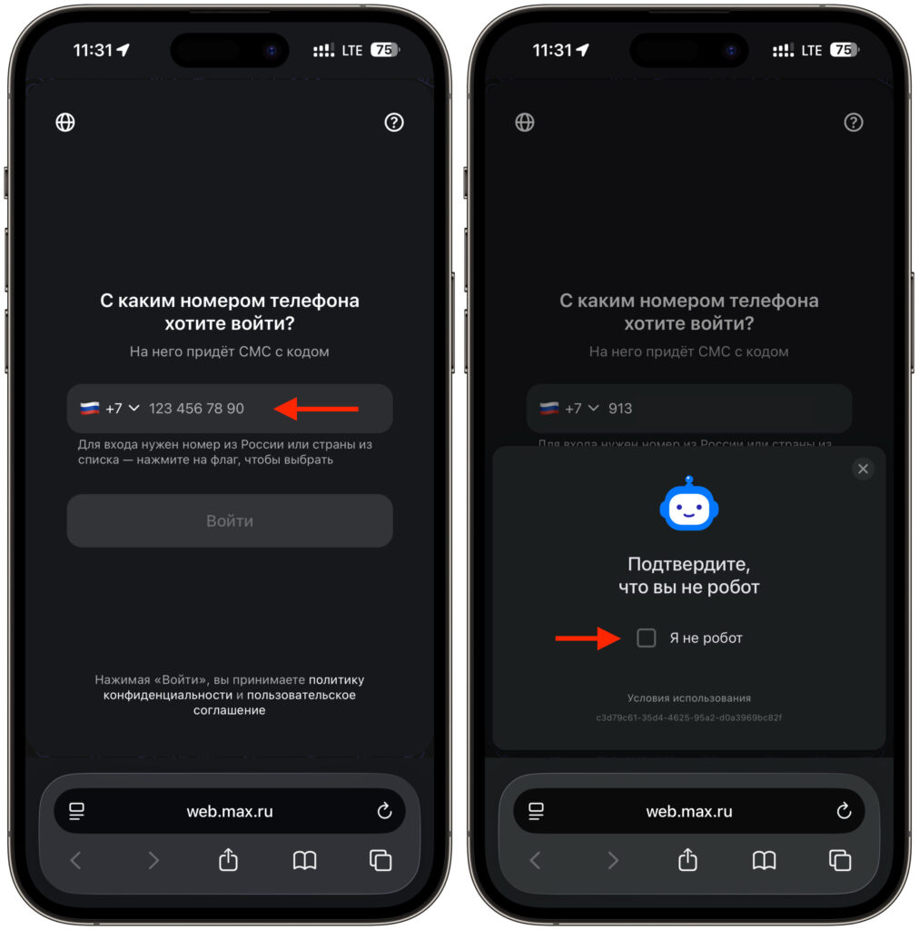 MAX Web on iPhone: phone number authorization. Start logging in with your phone number and wait for the SMS code. Photo.