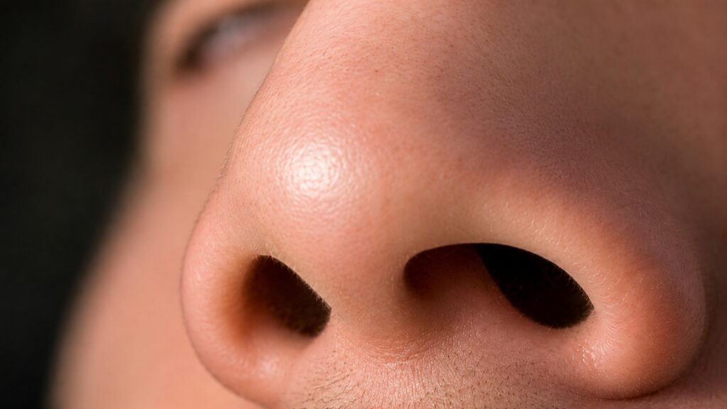 Snot is an unpleasant thing, but without it we would live much worse. Photo.