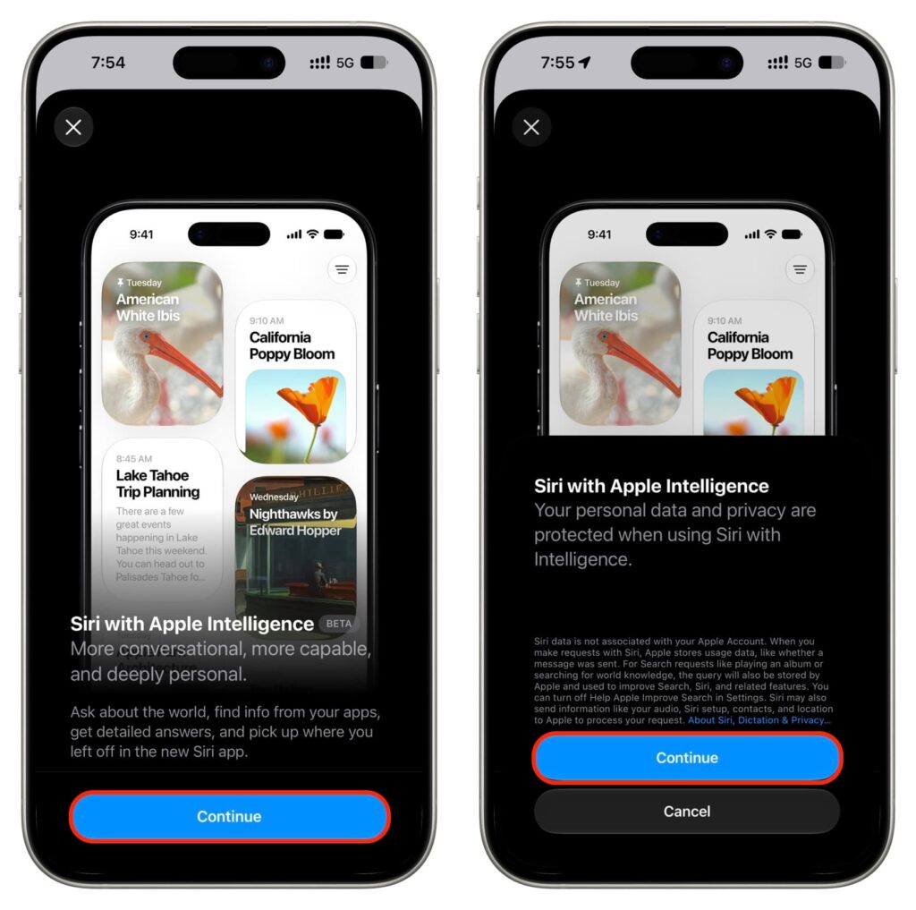 How to activate Siri AI through Apple Intelligence settings. Agree to all the terms. Photo.