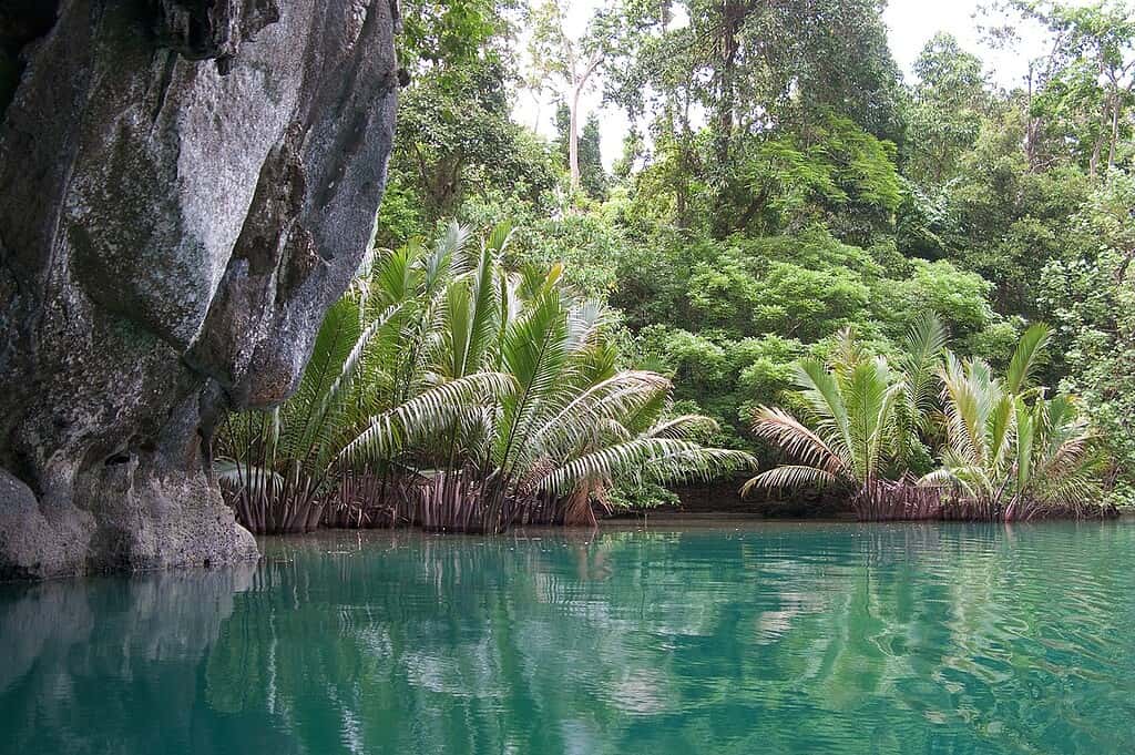 Earth's Plants Have 2 Billion Years Left: When the Planet Will Become Hostile