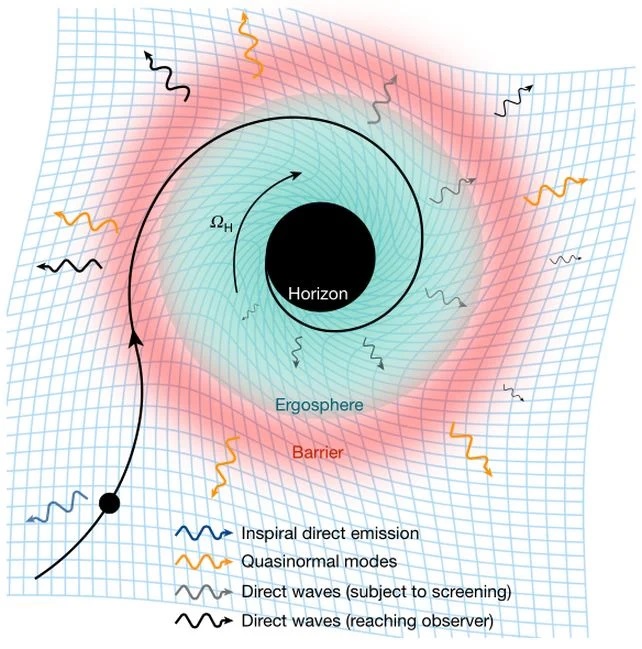 Diagram of gravitational wave emission during the black hole merger phase. Photo.