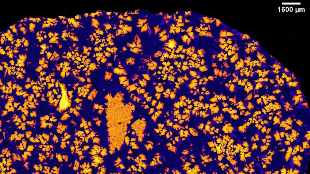 X-ray image of the NWA 12774 meteorite. Photo.