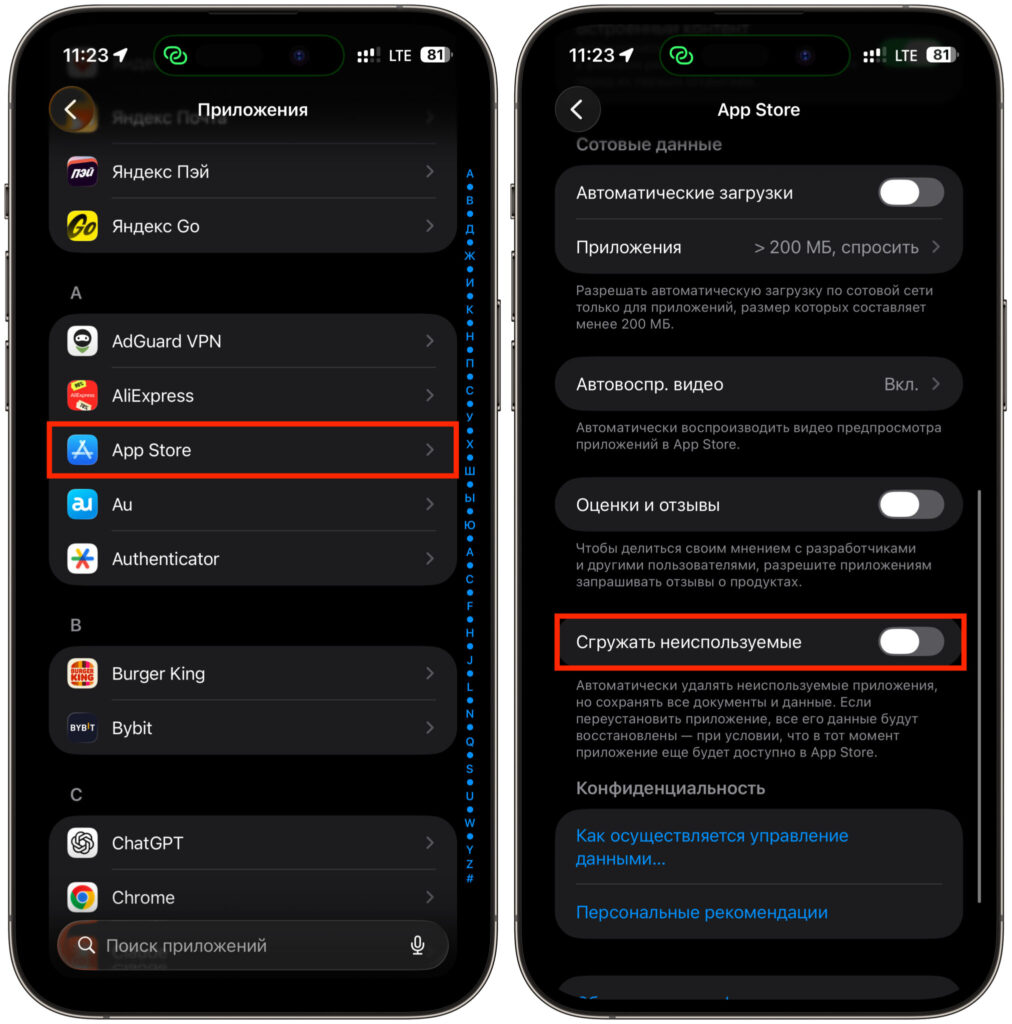 How to keep Wildberries and Yandex Pay on your iPhone. It's better to keep this feature disabled in Russia. Photo.
