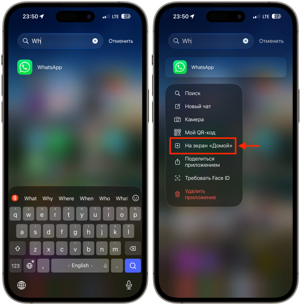 What to do if WhatsApp* disappeared from iPhone. WhatsApp may be hiding in the App Library. Photo.