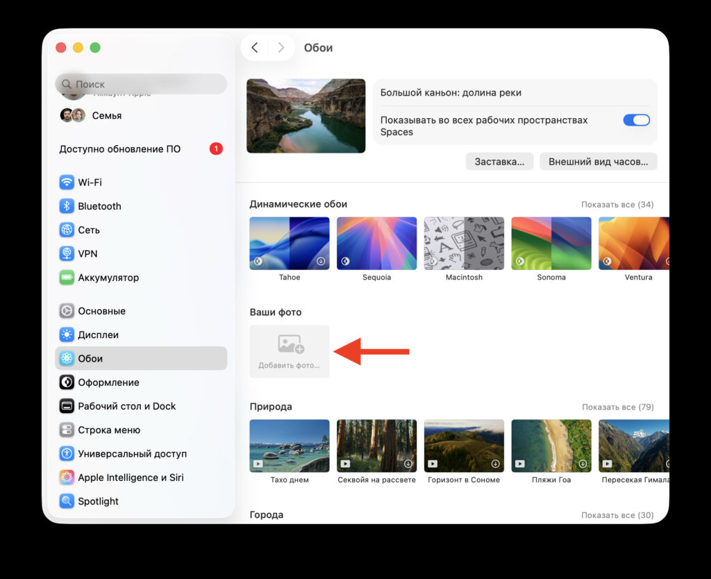 How to set wallpapers on macOS, iPadOS, and iOS. Start adding your image. Photo.