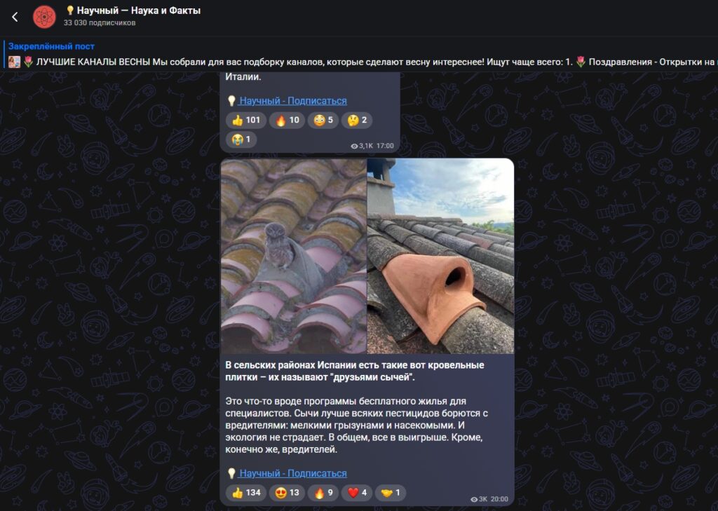 Screenshot from the Scientific — Science and Facts channel. Photo.