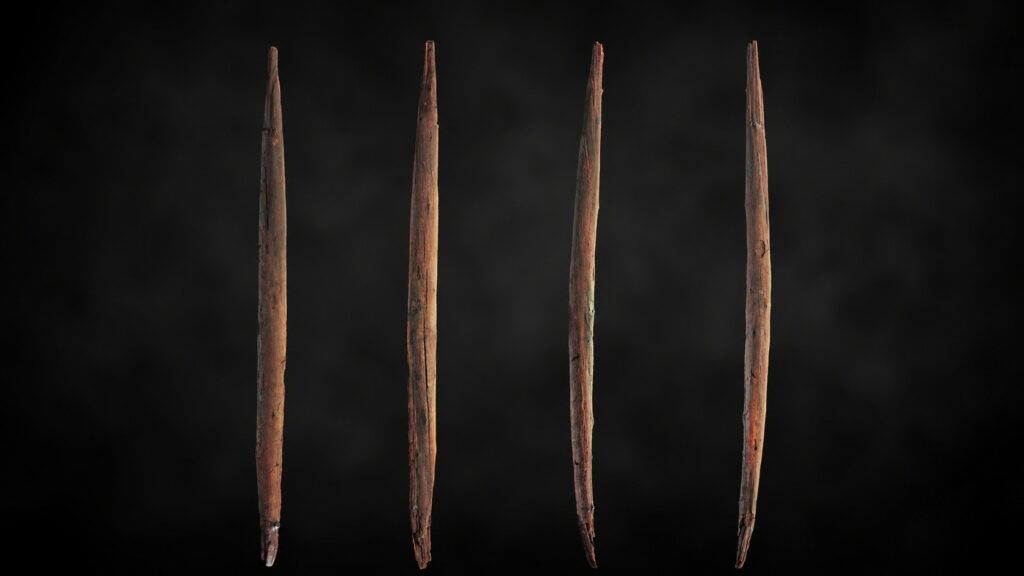 Various types of throwing sticks from Schöningen. Photo.