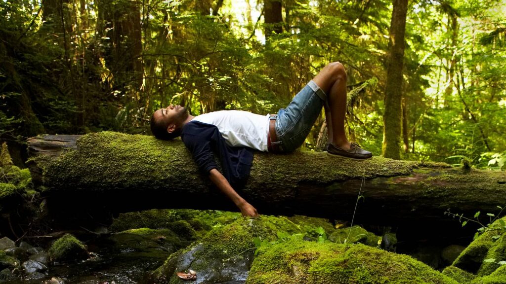 Why walking in the forest is good for you: 4 amazing effects you'll feel