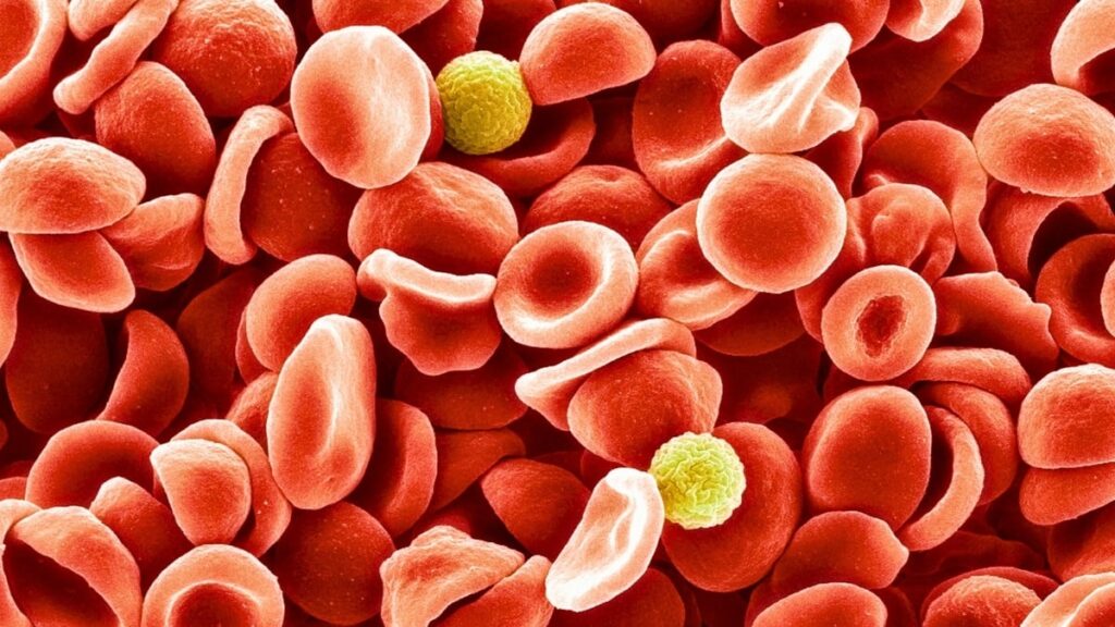 Stress physically changes the structure of your blood: new research shocks