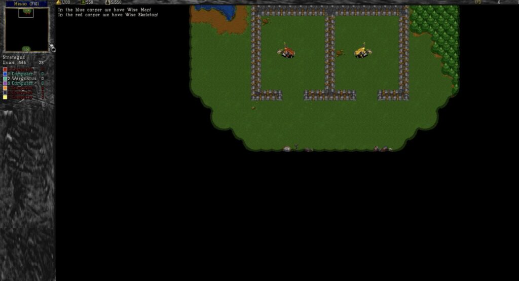 Launching Warcraft II on Mac. Enjoy playing. Photo.