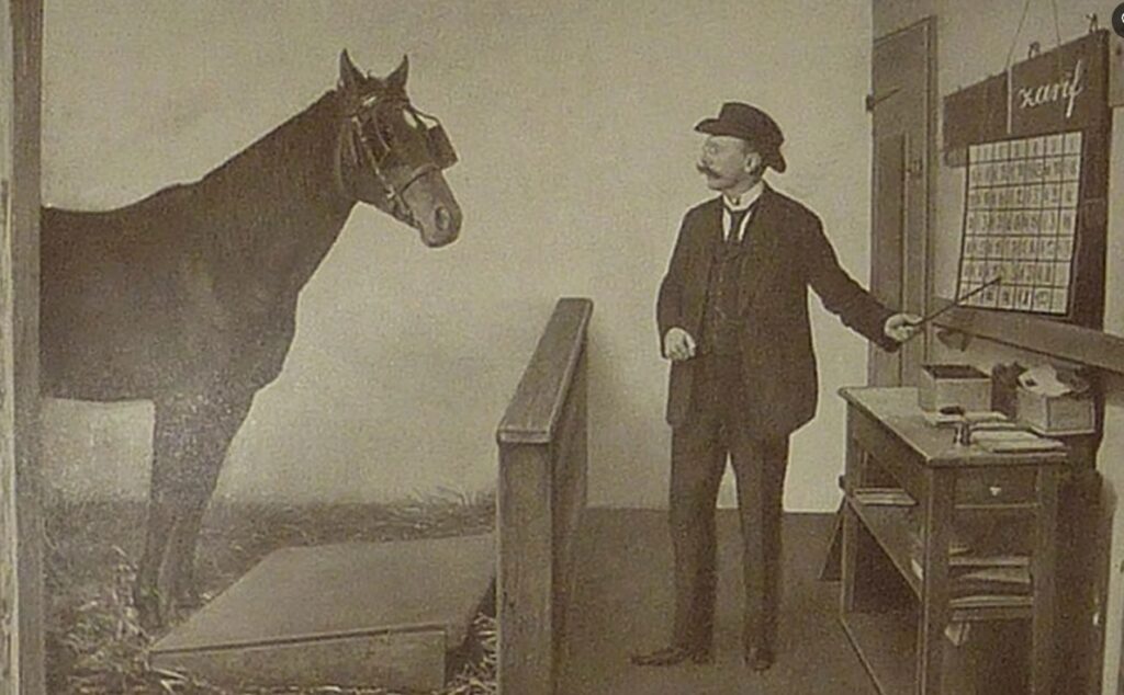 Hans was considered the smartest horse in the world. Image source: bezpodkov.ru
