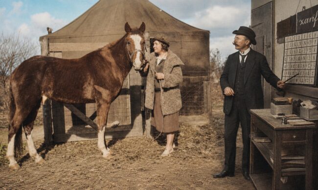 Clever Hans: The Horse That Changed Experimental Science